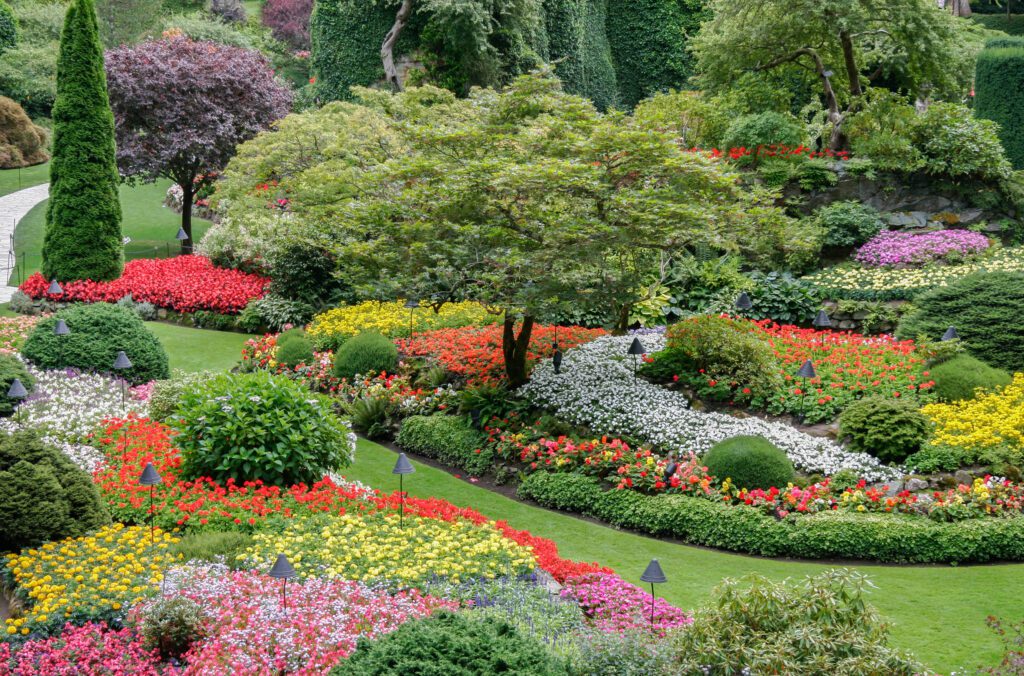 Professionelle Gartengestaltung mit harmonischer Bepflanzung, Rasenflächen und Natursteinwegen in Salzhemmendorf